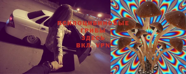 ешки Новозыбков