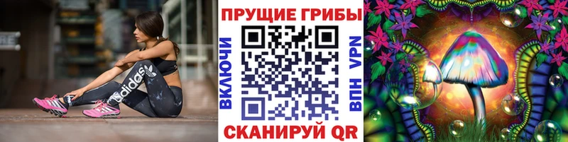 Купить закладки  Братск  Псилоцибиновые грибы мицелий 